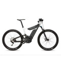 Wholesale OEM Electric Bicycle with Two Battery with En Standard